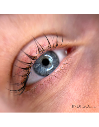 Korean lamination (Péruwelz)